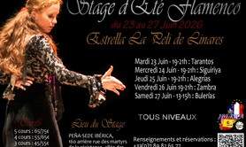 Stage Flamenco - El Verano suena flamenco XIème édition