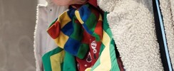 Ouistiti  - Clown Ouistiti 