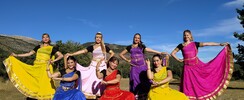 Cie Indian Dance Navrasa  - Spectacles de danses indiennes classiques et Bollywood 