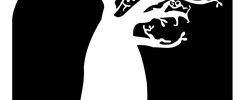 Association L'arbre Palabres  - Danse et Percussion Africaine et Afro-Caraibeenes 