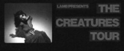 Lamb