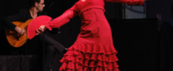 Azafran Flamenco  - Danse & Musique 