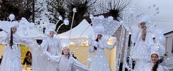 Histoire de voir échassiers  - Échassiers blancs lumineux 