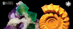14ème Salon des Minéraux d'Antibes