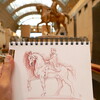 Stage de dessin au Musée d'Orsay